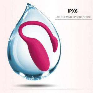 Wireless Vagina Remote G Spot Vibrator App Control