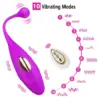 rechargeable remote vibrator - product photo