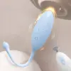 small vibrator with remote - product photo